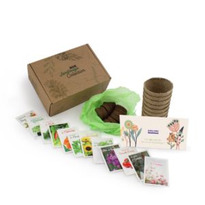 Box coffret de kit de jardinage complet avec sachets de graines pour toute l'année, pots compostables, carte personnalisable et tourbe à réhydrater.