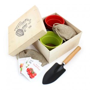 Coffret jardinage en bois avec pots en bambou, graines et outils, idéal pour cadeau d'affaires personnalisable et bien-être
