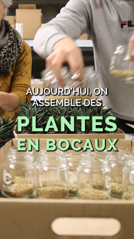 Vidéo assemblage en atelier de production de plantes en bocaux avec graviers chez Idées Nature