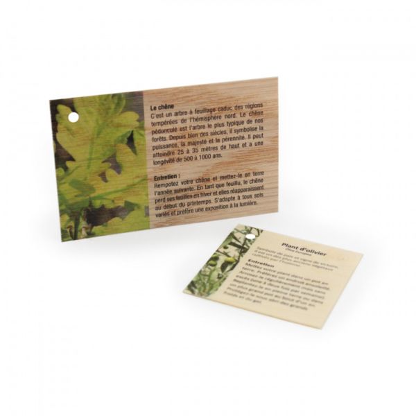 Carte Bois personnalisable en érable, chêne, ou cèdre, support de communication made in France, adaptée pour carte de visite, carte cadeau ou carte fidélité.