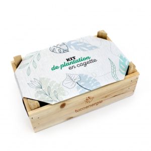 Kit de plantation personnalisable dans une cagette en bois comme goodies pour décorer