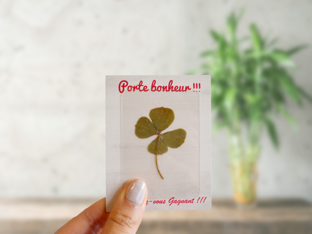 Carte Trefle Porte Bonheur Idees Nature Carte Trefle Porte Bonheur Idees Nature