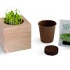 Cube bois graines, cadeau d'entreprise écologique personnalisable