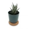 Plante dépolluante en pot en bambou personnalisable avec couvercle en liège, idéal comme objet publicitaire écologique pour initiatives RSE.