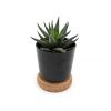 Plante dépolluante en pot en bambou personnalisable avec couvercle en liège, idéal comme objet publicitaire écologique pour initiatives RSE.
