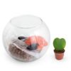 DIY Terrarium en kit grand modèle personnalisable cadeau d'entreprise