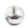 DIY Terrarium en kit grand modèle personnalisable cadeau d'entreprise