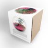 DIY Terrarium en kit grand modèle personnalisable cadeau d'entreprise