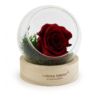 Rose éternelle en globe