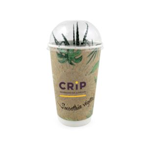 Gobelet smoothie détourné en pot de plante Haworthia avec personnalisation, un objet publicitaire tendance et cadeau original idéal pour les campagnes RSE et comme goodies écologiques.