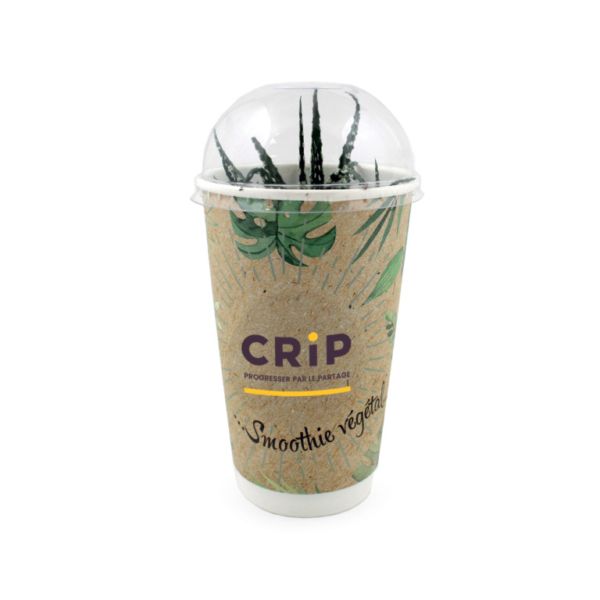 Gobelet smoothie détourné en pot de plante Haworthia avec personnalisation, un objet publicitaire tendance et cadeau original idéal pour les campagnes RSE et comme goodies écologiques.